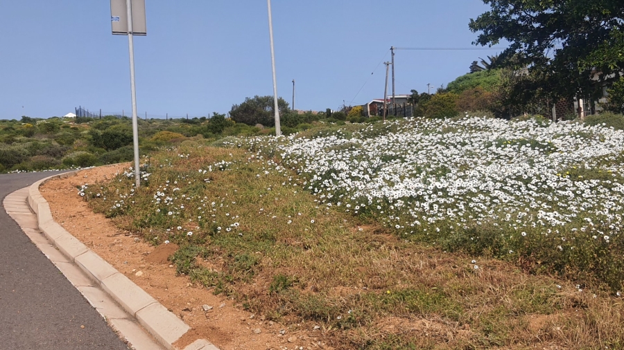  Bedroom Property for Sale in St Helena Views Western Cape